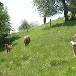 Chalet Sternen-chalet