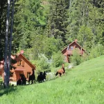 Sternen-chalet Chalet Grassendorf