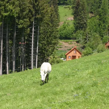 木屋 Sternen-chalet *