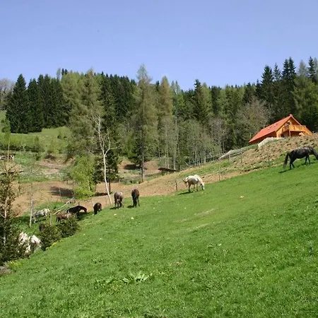 Dağ evi Sternen-chalet *
