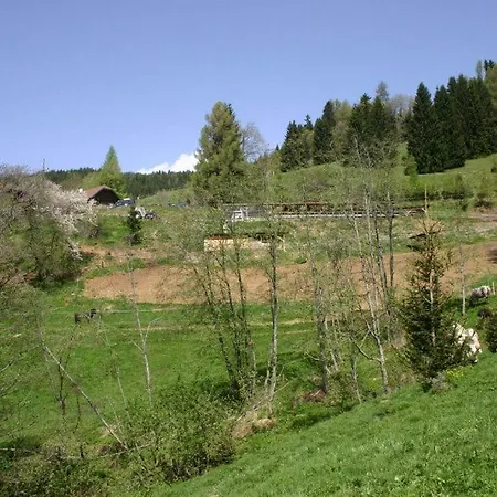 샬레 Sternen-chalet *