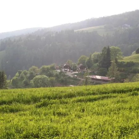 샬레 Sternen-chalet *