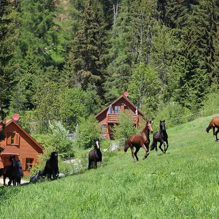 Sternen-chalet Alpesi faház *