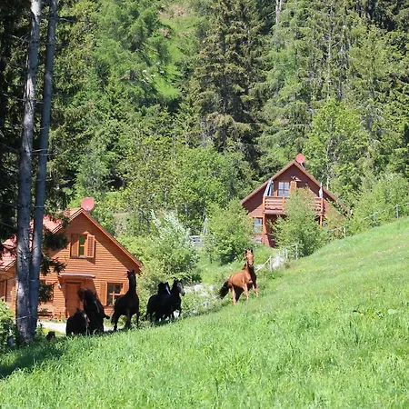 Sternen-chalet Chalet Grassendorf