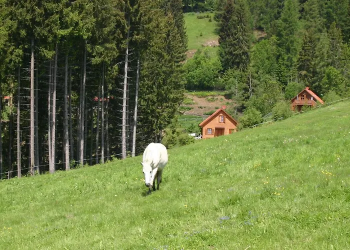 Σαλέ Sternen-chalet *