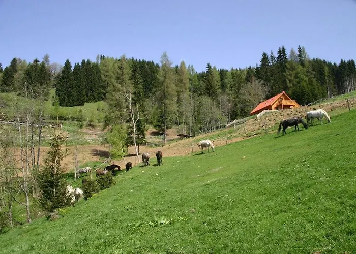 Σαλέ Sternen-chalet *