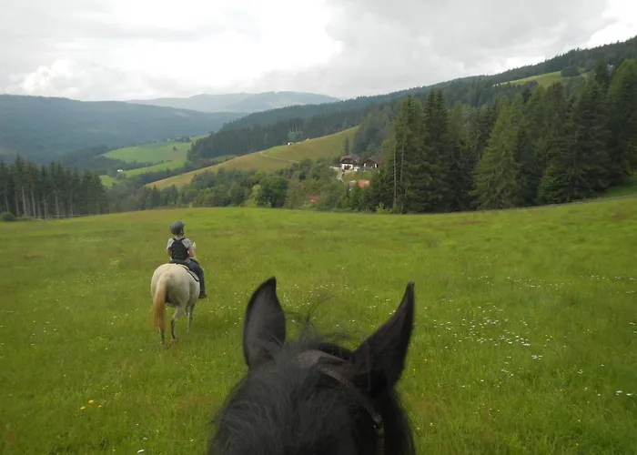 Sternen-chalet Grassendorf