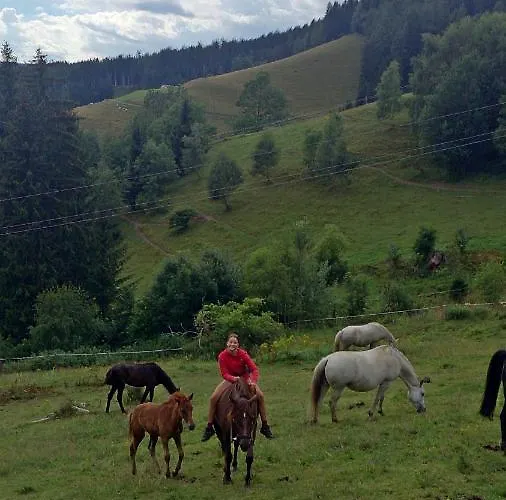 Sternen-chalet Grassendorf
