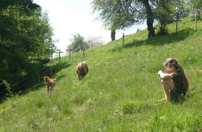 Dağ evi Sternen-chalet