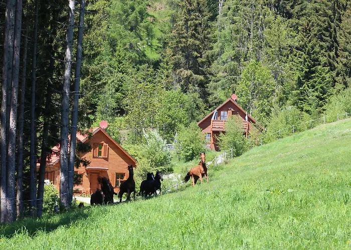 Sternen-chalet Σαλέ Grassendorf
